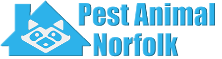 Norfolk Wildlife and Animal Removal